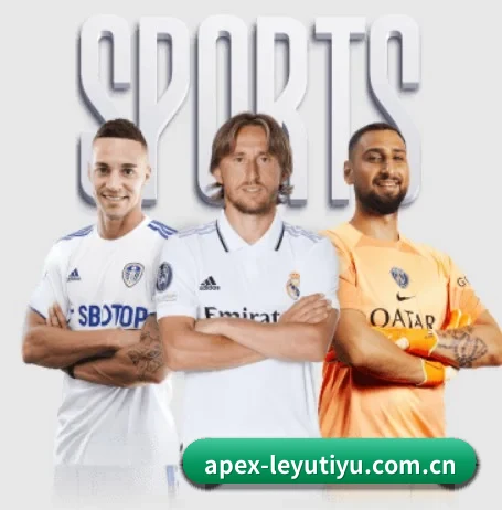 五大服务分区,信息按项目分类(leyu)